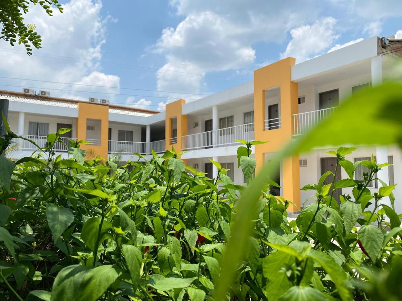 Hotel Villa Bosco بالميرا المظهر الخارجي الصورة