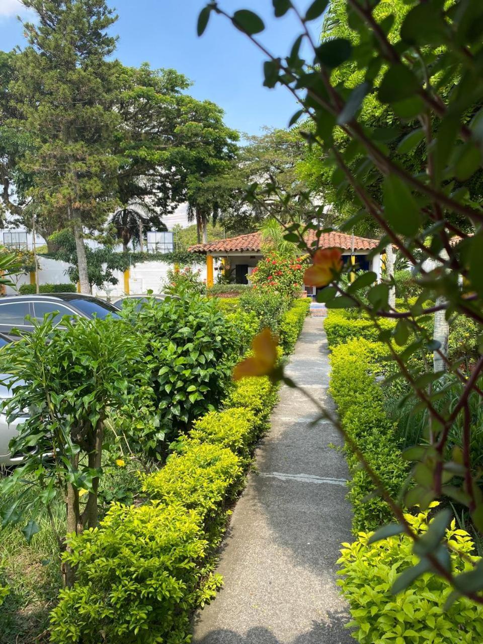 Hotel Villa Bosco بالميرا المظهر الخارجي الصورة