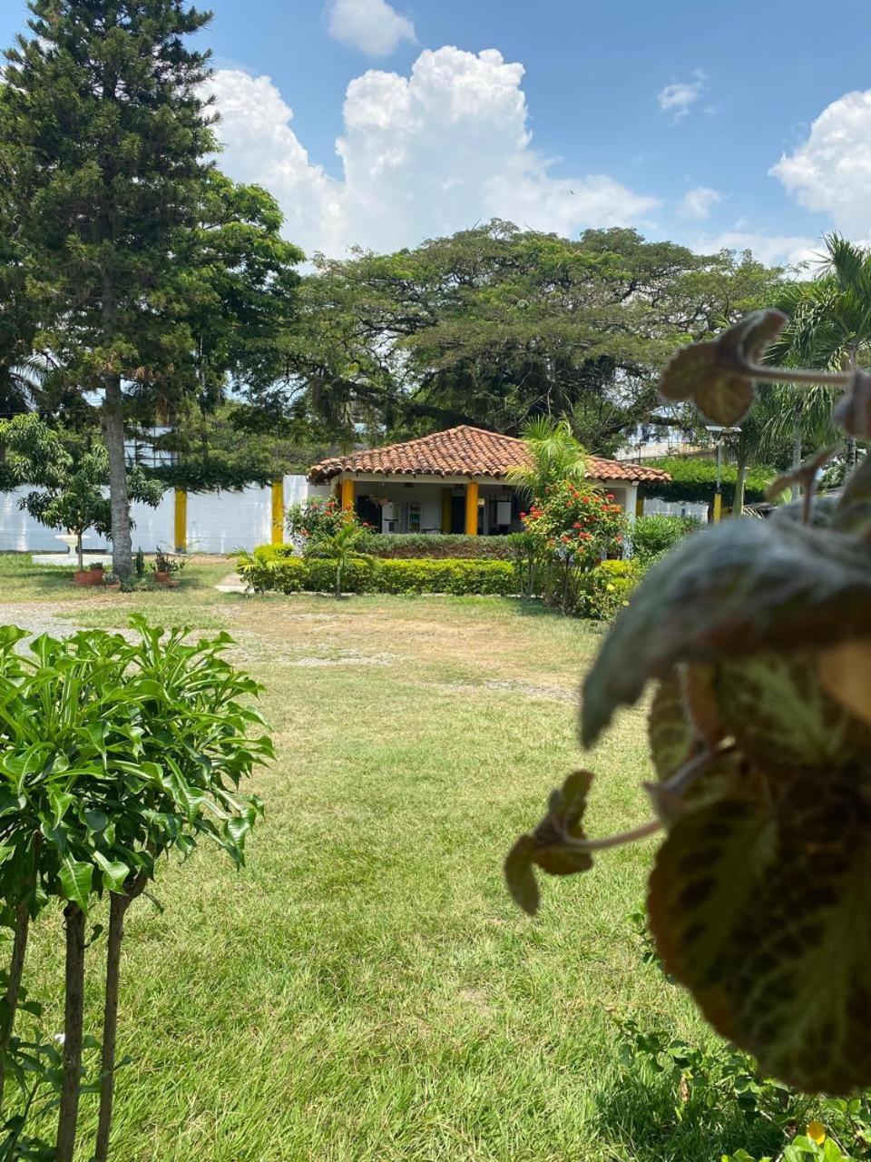 Hotel Villa Bosco بالميرا المظهر الخارجي الصورة